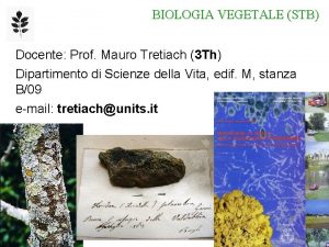 Tretiach mauro