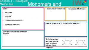 Section 1 Biological Molecules Define Monomer Monomers and