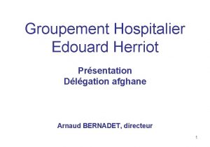 Groupement Hospitalier Edouard Herriot Prsentation Dlgation afghane Arnaud