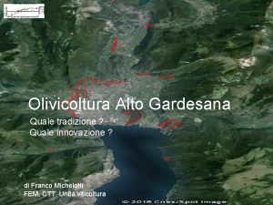 Olivicoltura Alto Gardesana Quale tradizione Quale innovazione di