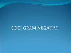 COCI GRAM NEGATIVI Genul Neisseria Neisseria caractere generale