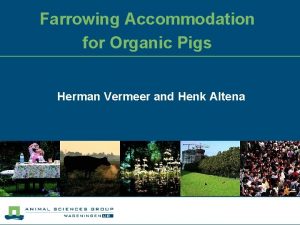 Farrowing Accommodation for Organic Pigs Herman Vermeer and