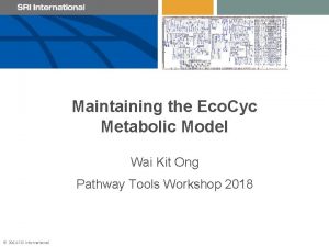 Maintaining the Eco Cyc Metabolic Model Wai Kit