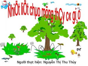 Ngi thc hin Nguyn Th Thu Thy Th