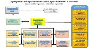 Organigramma del Dipartimento di Scienze Agro Ambientali e