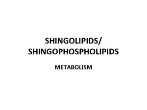 SHINGOLIPIDS SHINGOPHOSPHOLIPIDS METABOLISM Role of sphingolipids Abundant component