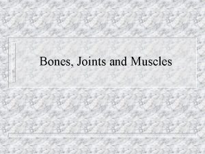 Bones Joints and Muscles Bones 206 in human