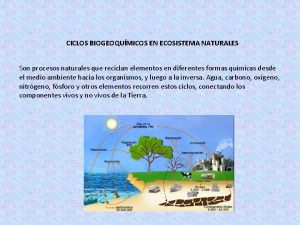 CICLOS BIOGEOQUMICOS EN ECOSISTEMA NATURALES Son procesos naturales