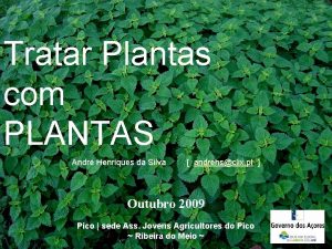 Tratar Plantas com PLANTAS Andr Henriques da Silva