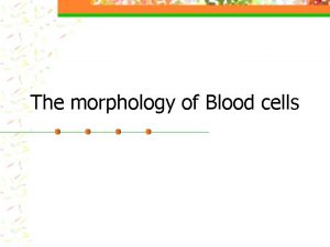 The morphology of Blood cells Composition of the