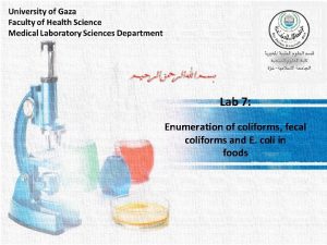 Lab 7 Enumeration of coliforms fecal coliforms and
