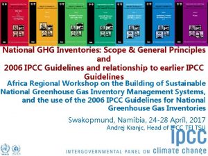 Task Force on National Greenhouse Gas Inventories National