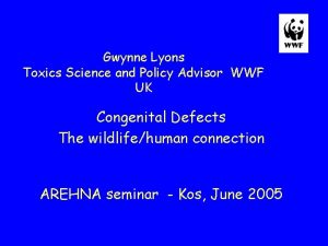 Gwynne Lyons Toxics Science and Policy Advisor WWF