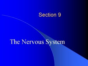 Section 9 The Nervous System LIU Chuan Yong