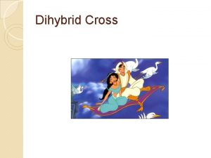 Dihybrid Cross Dihybrid Cross Aladdin and Jasmine want