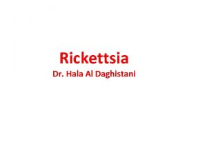 Rickettsia Dr Hala Al Daghistani Rickettsia Family small