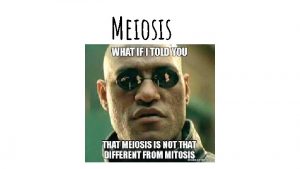 Meiosis Meiosis Considered a reduction division It halves