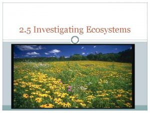 2 5 Investigating Ecosystems Review Zonation and Succession