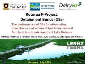 Rotorua PProject Detainment Bunds DBs The performance of