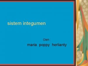 sistem integumen Oleh maria poppy herlianty integumen membentuk