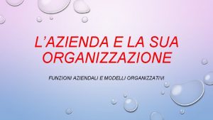 LAZIENDA E LA SUA ORGANIZZAZIONE FUNZIONI AZIENDALI E