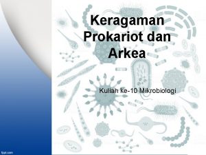 Keragaman Prokariot dan Arkea Kuliah ke10 Mikrobiologi Di