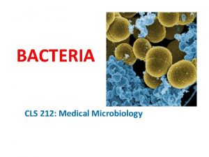 BACTERIA CLS 212 Medical Microbiology Prokaryotes Prokaryotic cells