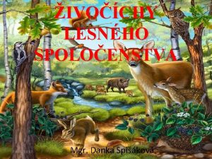 IVOCHY LESNHO SPOLOENSTVA 7 6 2021 4 42