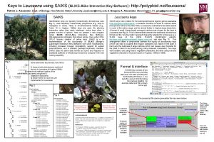 Keys to Leucaena using SAIKS SLIKSAlike Interactive Key