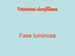 Fotosintesi clorofilliana Fase luminosa Accettore di elettroni 2