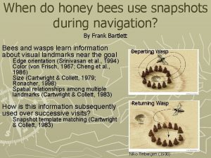 When do honey bees use snapshots during navigation