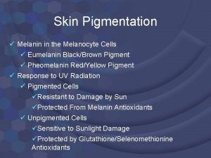 Skin Pigmentation Melanin in the Melanocyte Cells Eumelanin