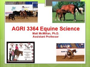 AGRI 3364 Equine Science Matt Mc Millan Ph