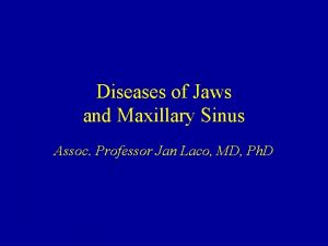 Diseases of Jaws and Maxillary Sinus Assoc Professor