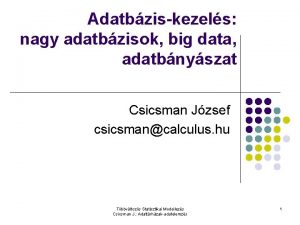 Adatbziskezels nagy adatbzisok big data adatbnyszat Csicsman Jzsef