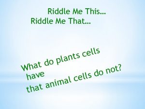 Riddle Me This Riddle Me That s l