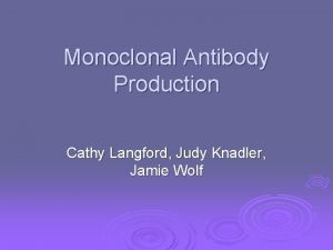 Monoclonal Antibody Production Cathy Langford Judy Knadler Jamie