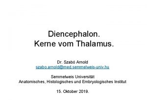 Diencephalon Kerne vom Thalamus Dr Szab Arnold szabo