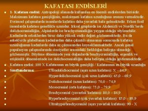 KAFATASI ENDSLER n n n n n 1