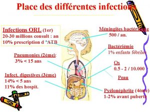 Place des diffrentes infections Infections ORL 1 er