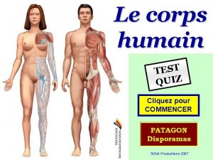 Le corps humain TEST QUIZ Cliquez pour COMMENCER