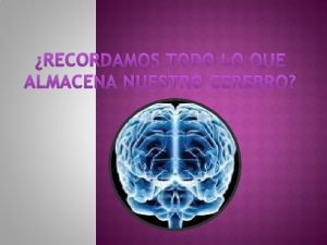 RECORDAMOS TODO LO QUE ALMACENA NUESTRO CEREBRO Maudsley