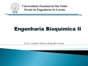 Universidade Estadual de So Paulo Escola de Engenharia