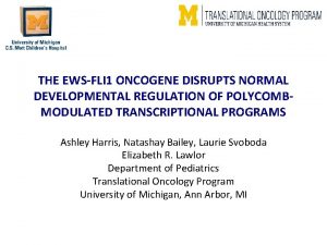 THE EWSFLI 1 ONCOGENE DISRUPTS NORMAL DEVELOPMENTAL REGULATION