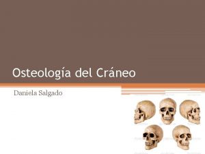 Osteologa del Crneo Daniela Salgado Formado por dos
