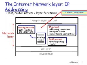 The Internet Network layer IP Addressing Host router