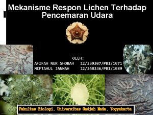 Mekanisme Respon Lichen Terhadap Pencemaran Udara OLEH AFIFAH