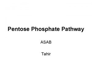 Pentose Phosphate Pathway ASAB Tahir OVERVIEW The pentose