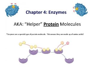 Chapter 4 Enzymes AKA Helper Protein Molecules Enzymes