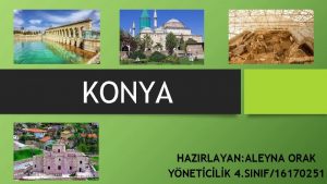 Konya odg